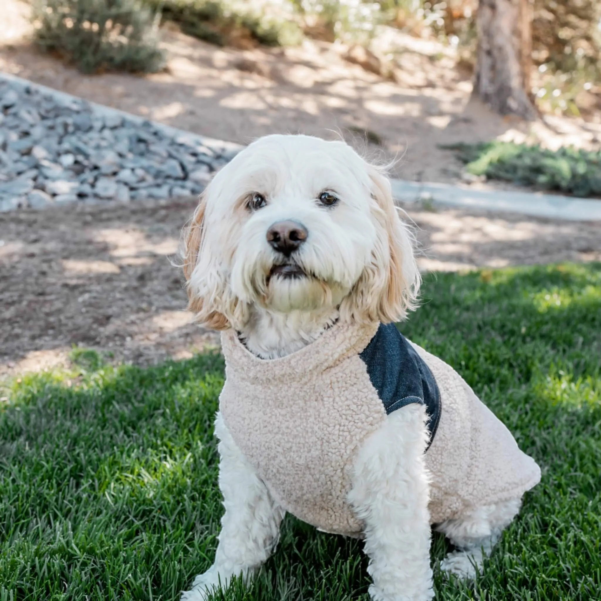 Cambridge Dog Coat