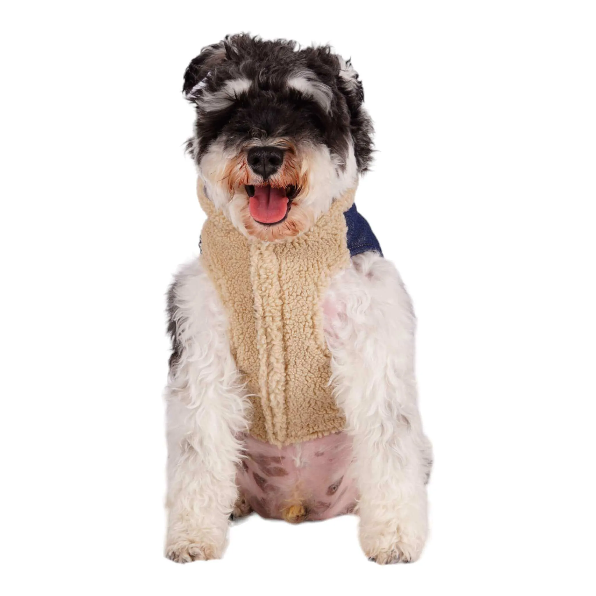 Cambridge Dog Coat