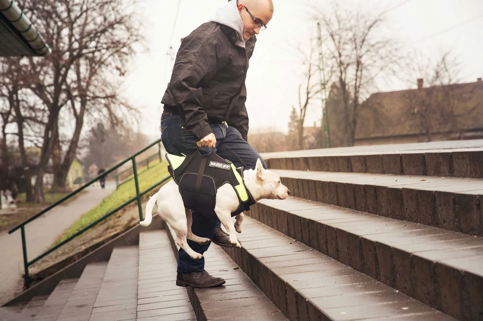 LifeJacket - Multifunctional Dog Vest